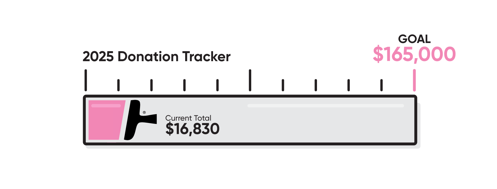 Paint it Pink campaign donation tracker that shows CertaPro is $16,830 to their goal of $165,000 so far.
