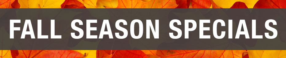 fall painting special