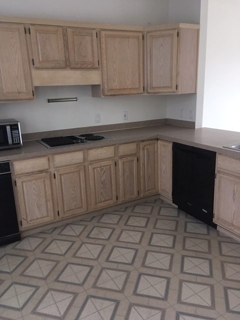 Kitchen Cabinet Painting Before