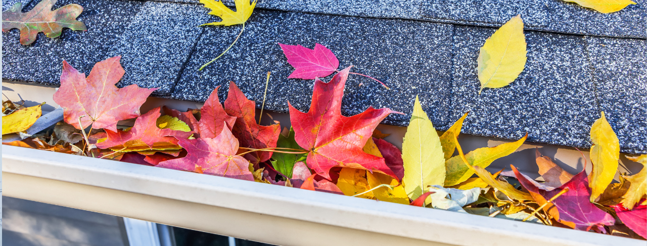 Leave Us A Review on Google