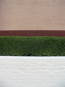 commercial painting company in morrow ga