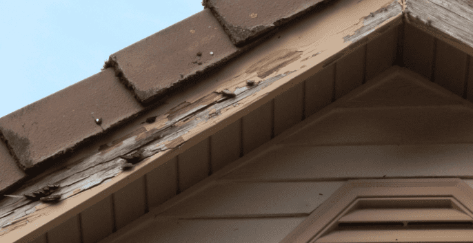 Check out our Wood Rot Repair