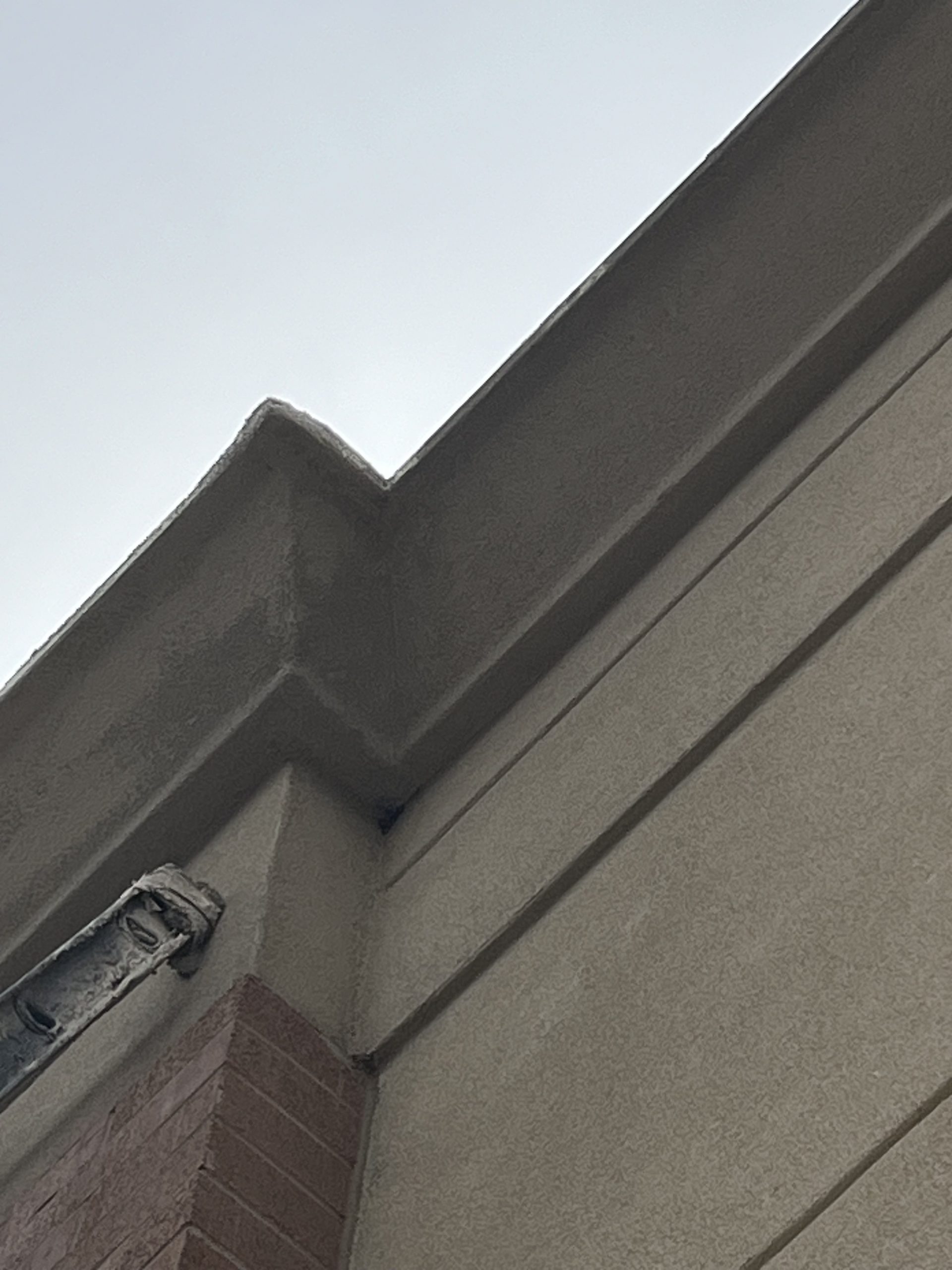 man and woman playing shuffleboard