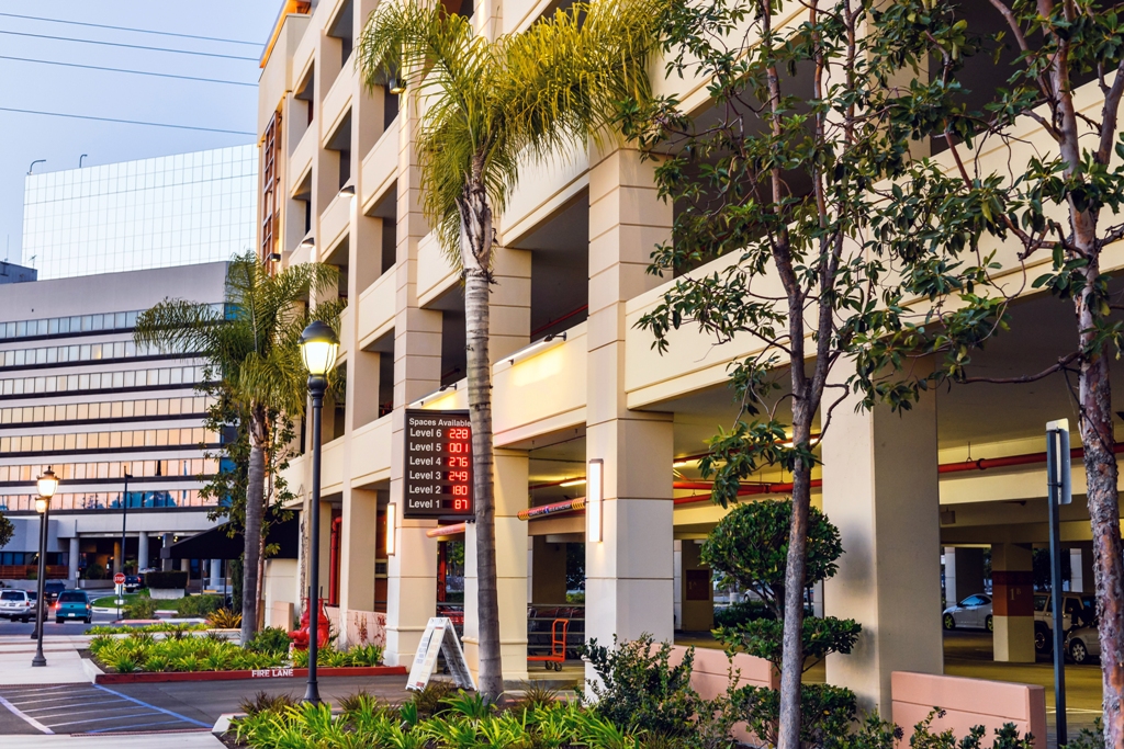 painting project in Miami, Florida