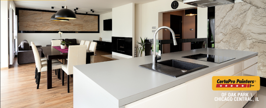 modern style kitchen painters chicago