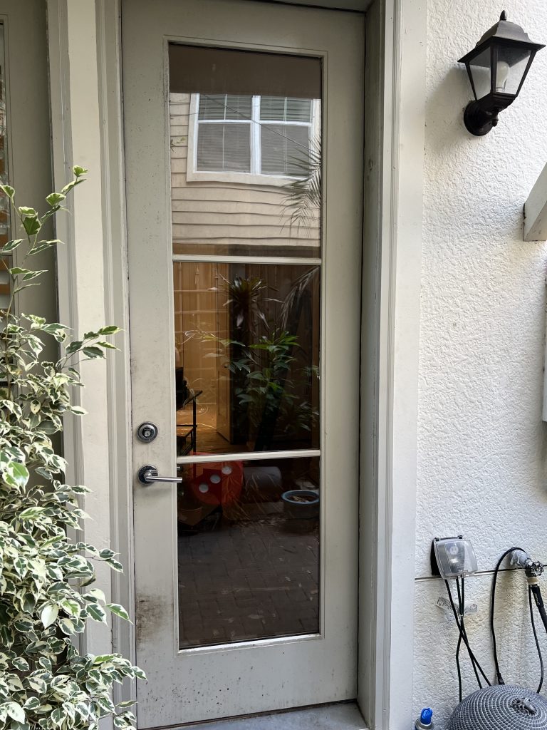 Back Door Painting in SW7602 Indigo Batik Before
