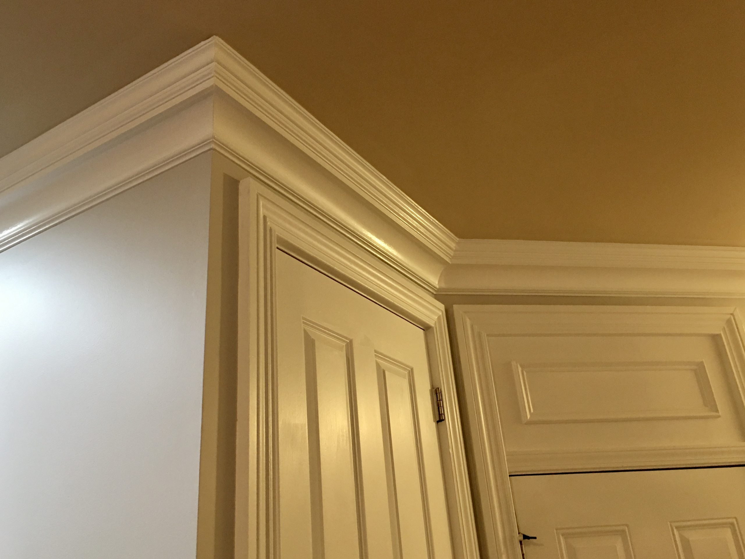 dunwoody kitchen painting after