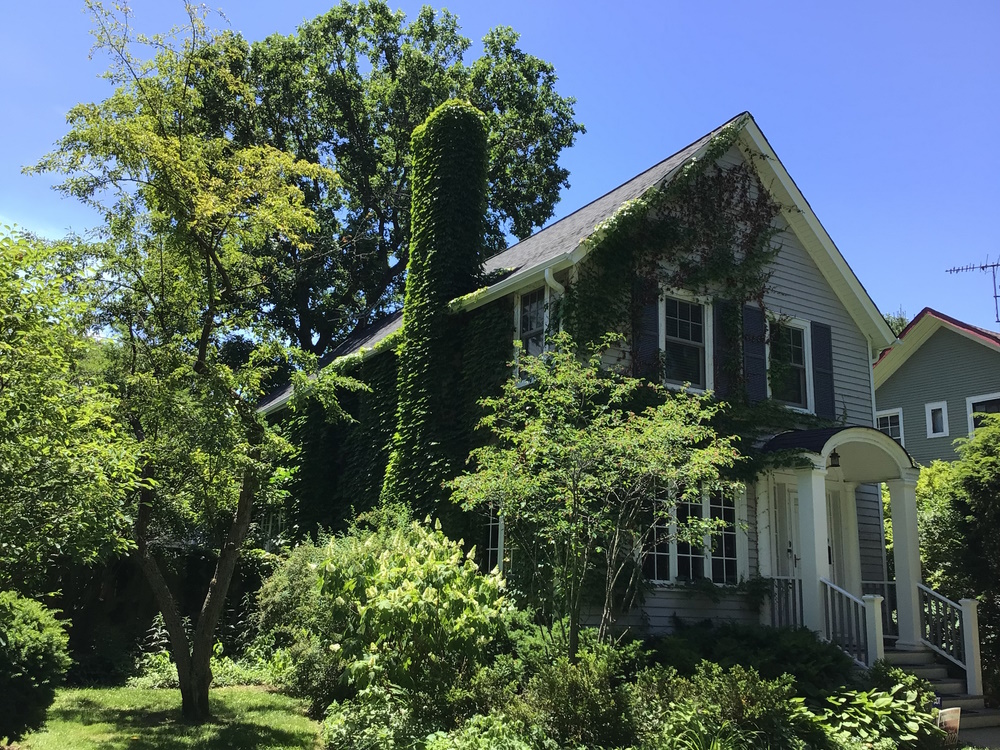 Painting Contractors