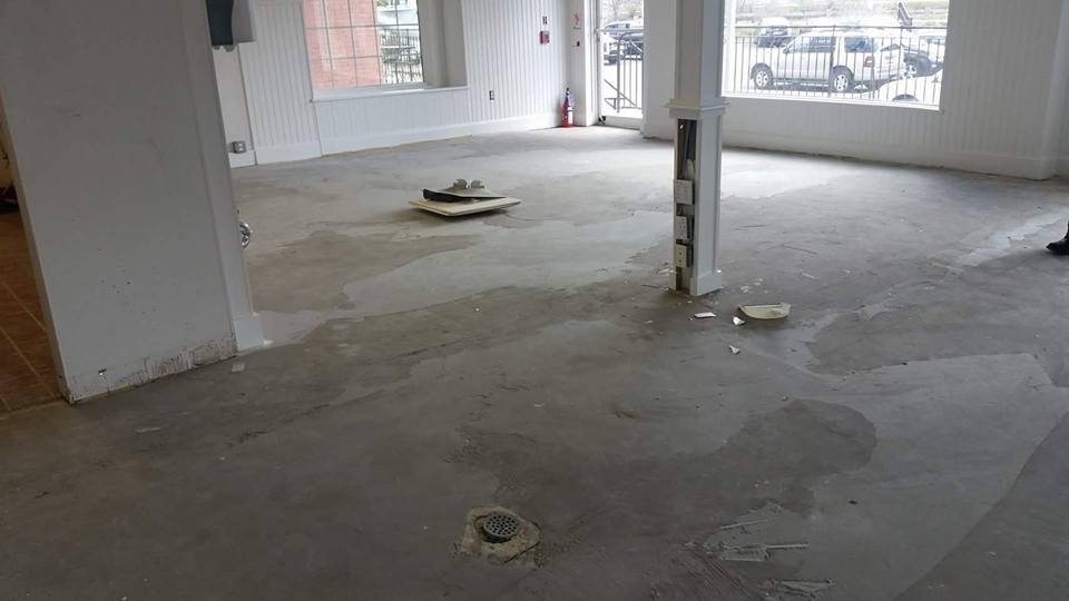 Painting Contractors