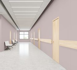 studio mauve sherwin williams 0062