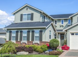 Check out our Window Screen Repair and Replacement