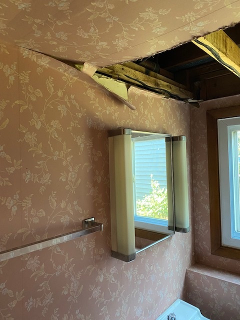 Bathroom Restoration in Glen Ellyn, IL