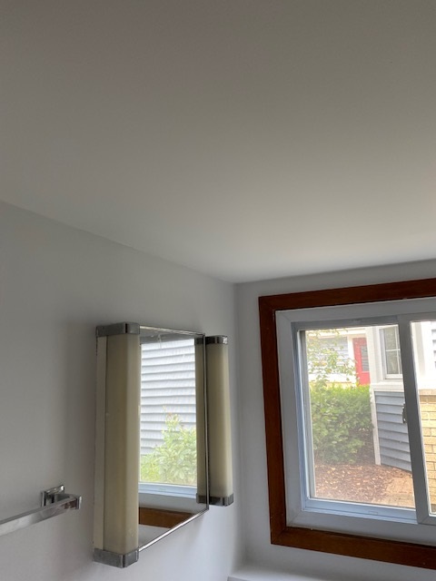 Bathroom Restoration in Glen Ellyn, IL