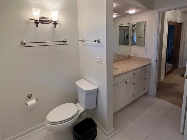 Bathroom in Wheaton, IL After