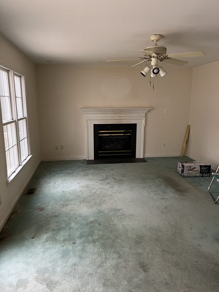 Living Room Painting Before