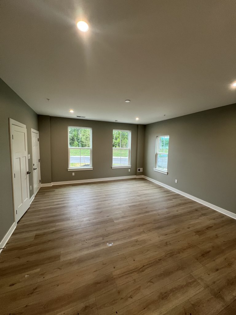empty living room interior with dark painted walls