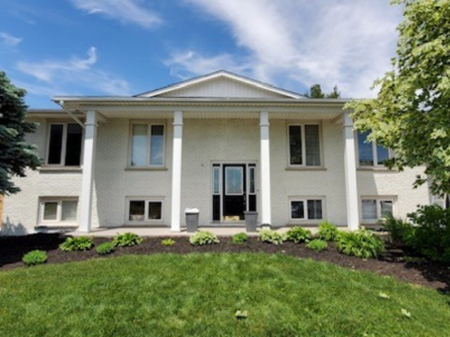 Painting Contractors