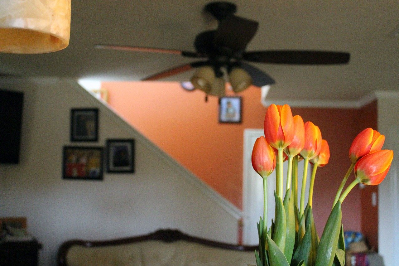 orange accent wall
