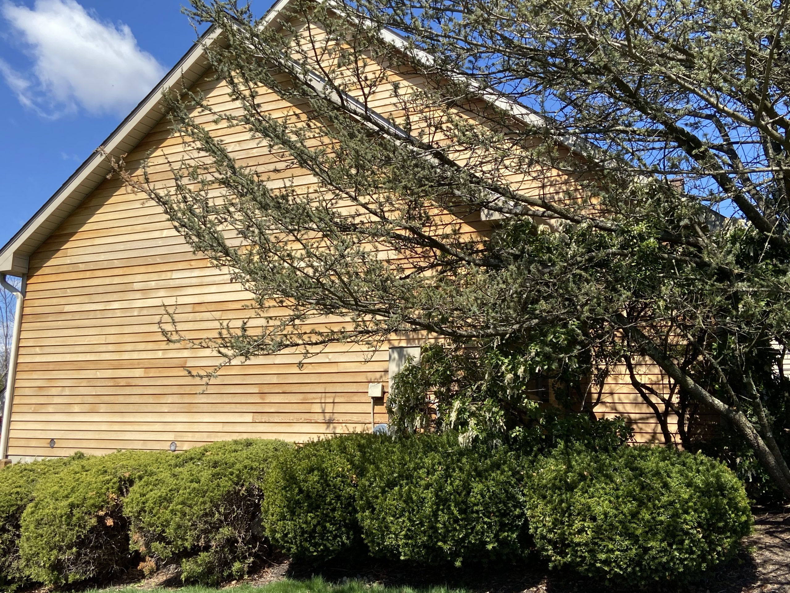 Wood Siding Painting Before