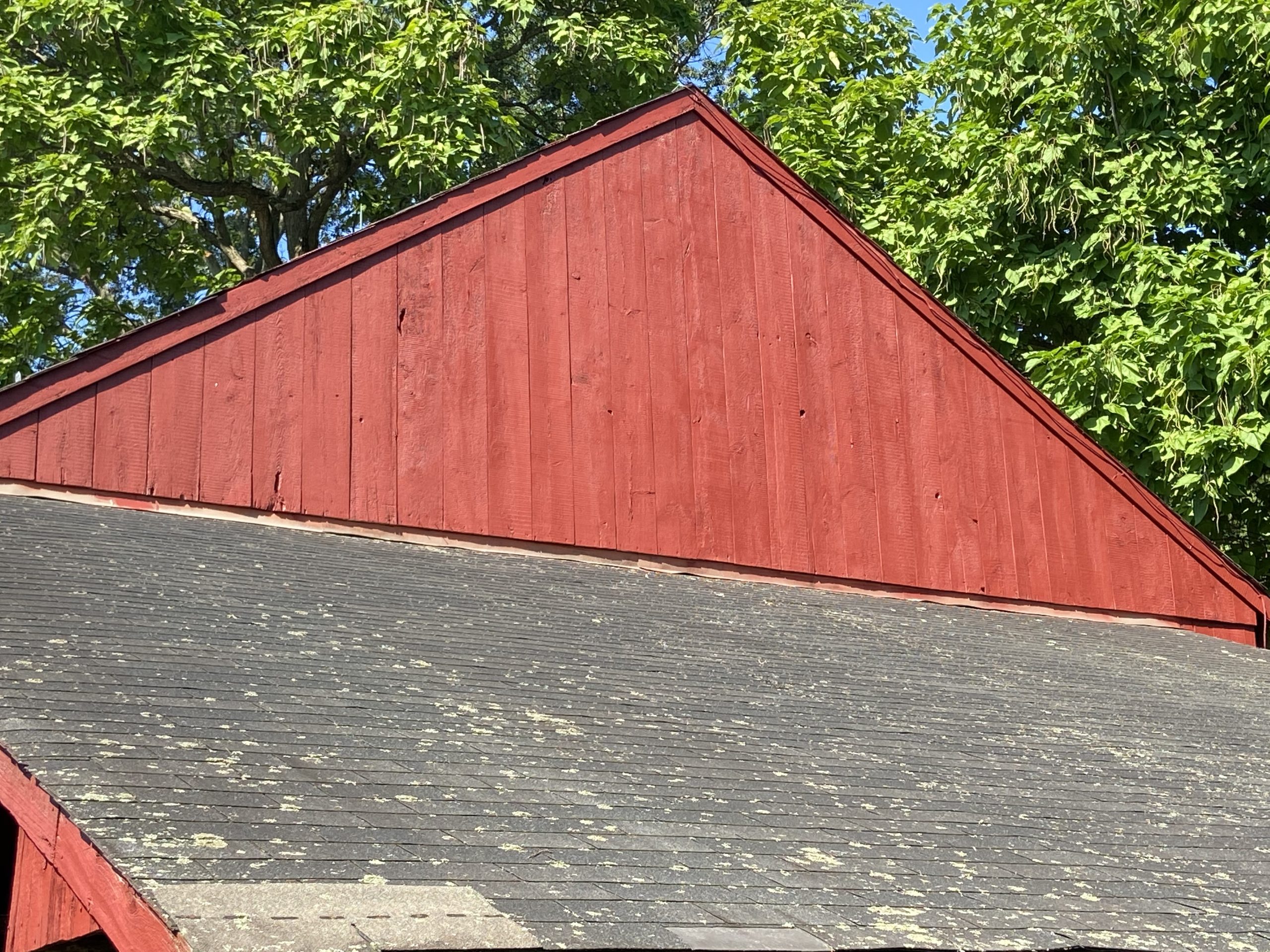 Wood Siding Painting After