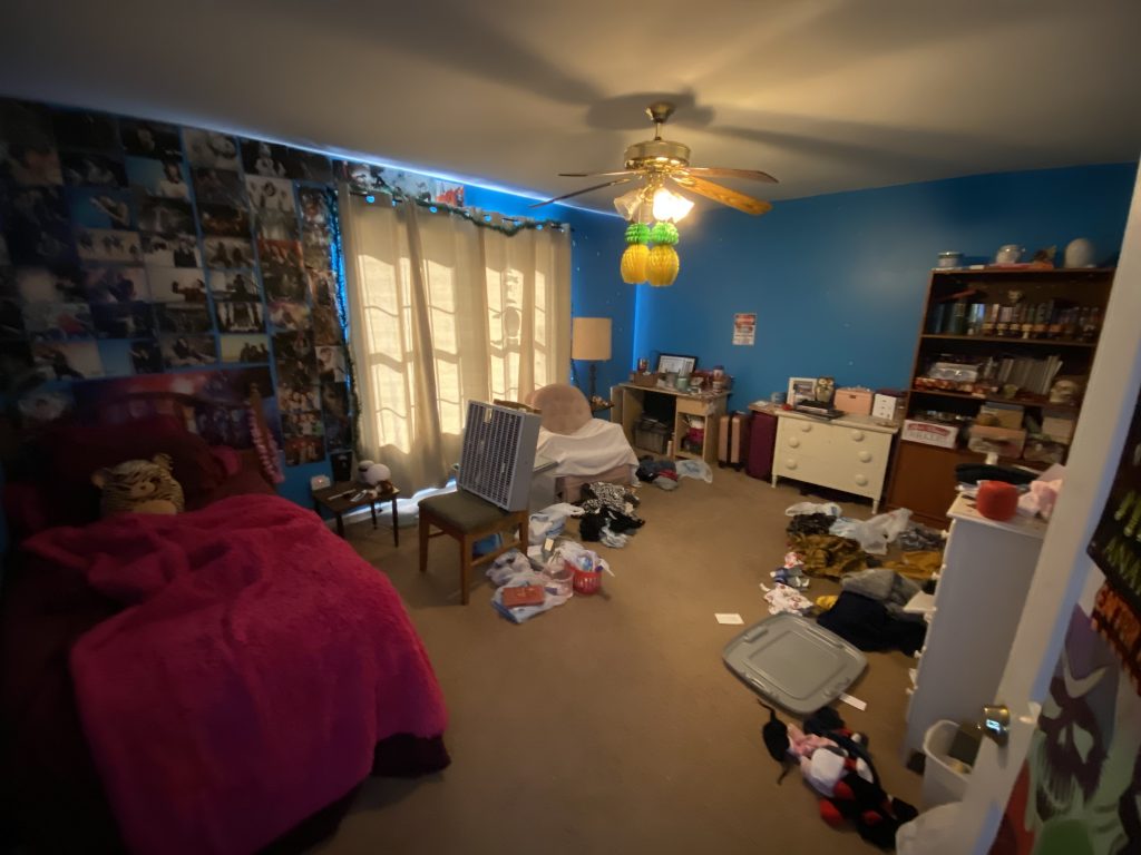 bright blue walls in carpeted bedroom