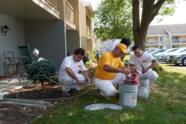 reading commercial painter