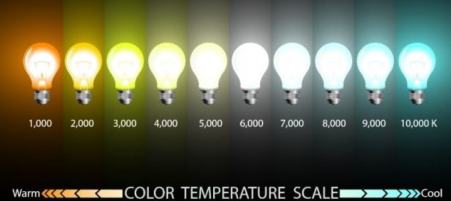 paint undertones are revealed by different temperature light bulbs