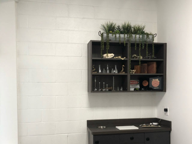 east roswell vet hospital - before