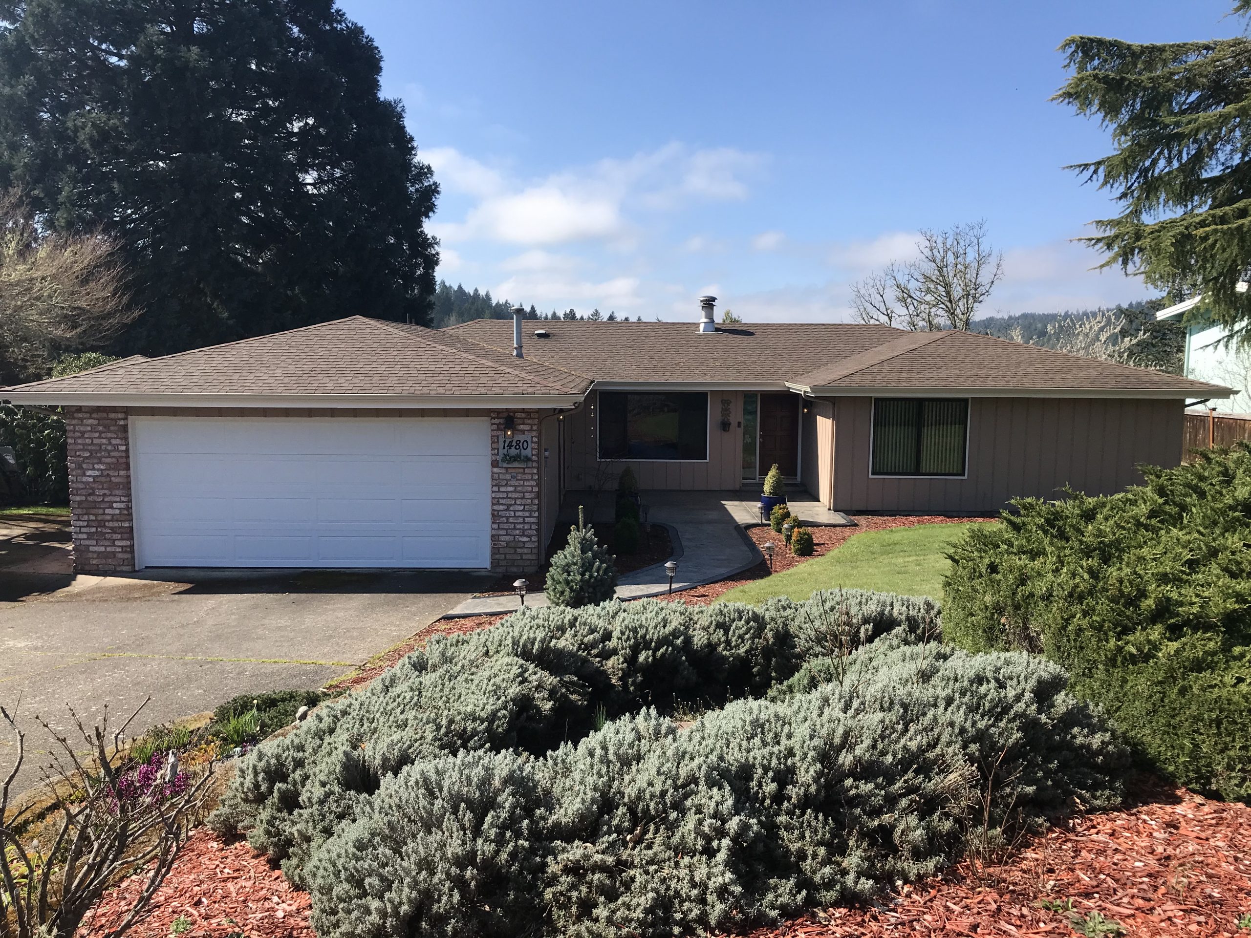 Before House Painters