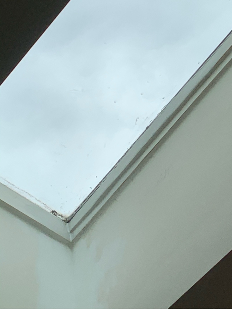 Gastonia Skylight After