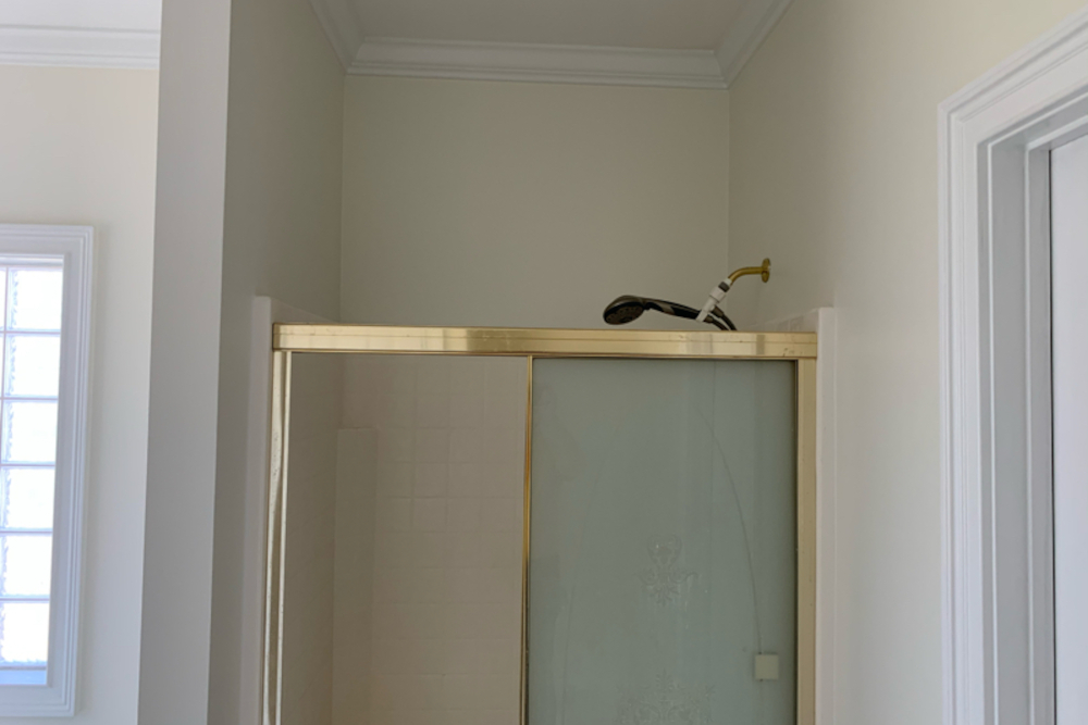 Statesville Shower Painting After