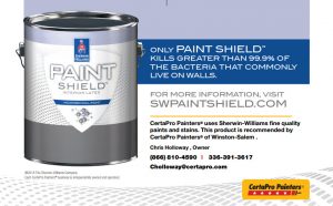 Paint Shield Logo