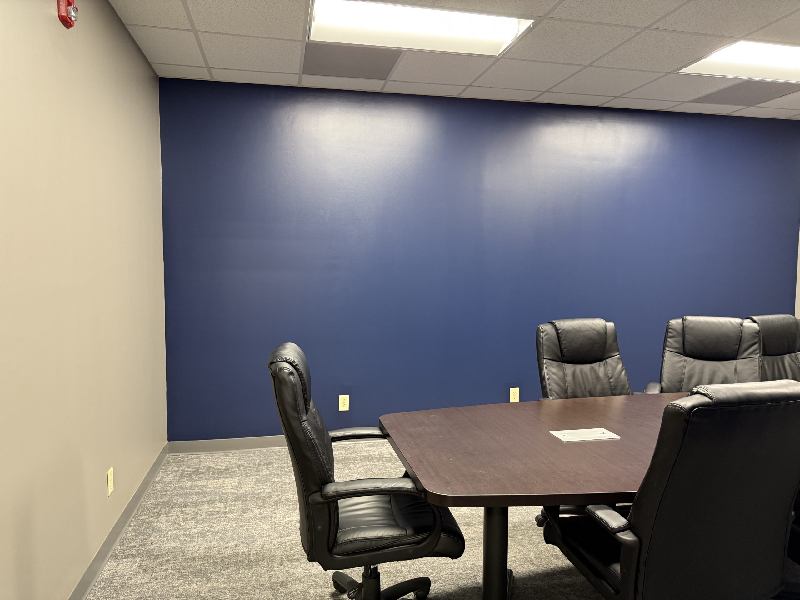 Conference wall painting for commercial office space.