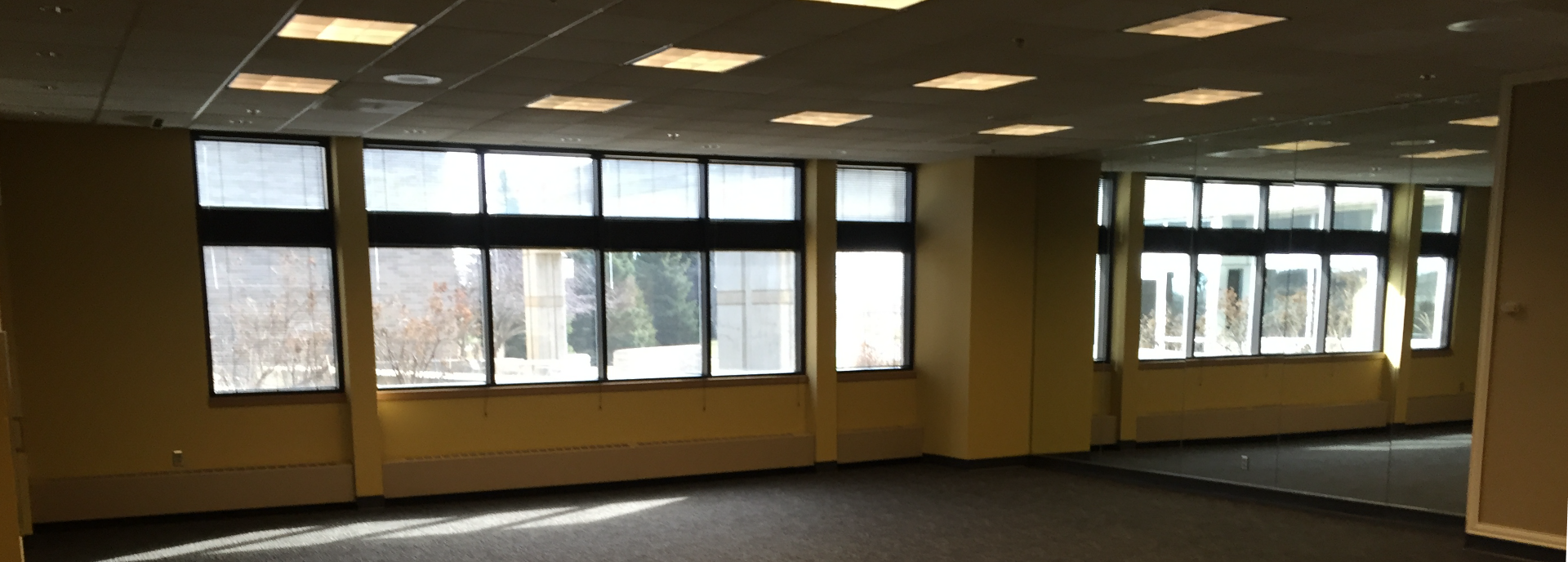 Painting Contractors