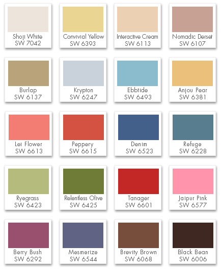 Color Fashion Paint Palette