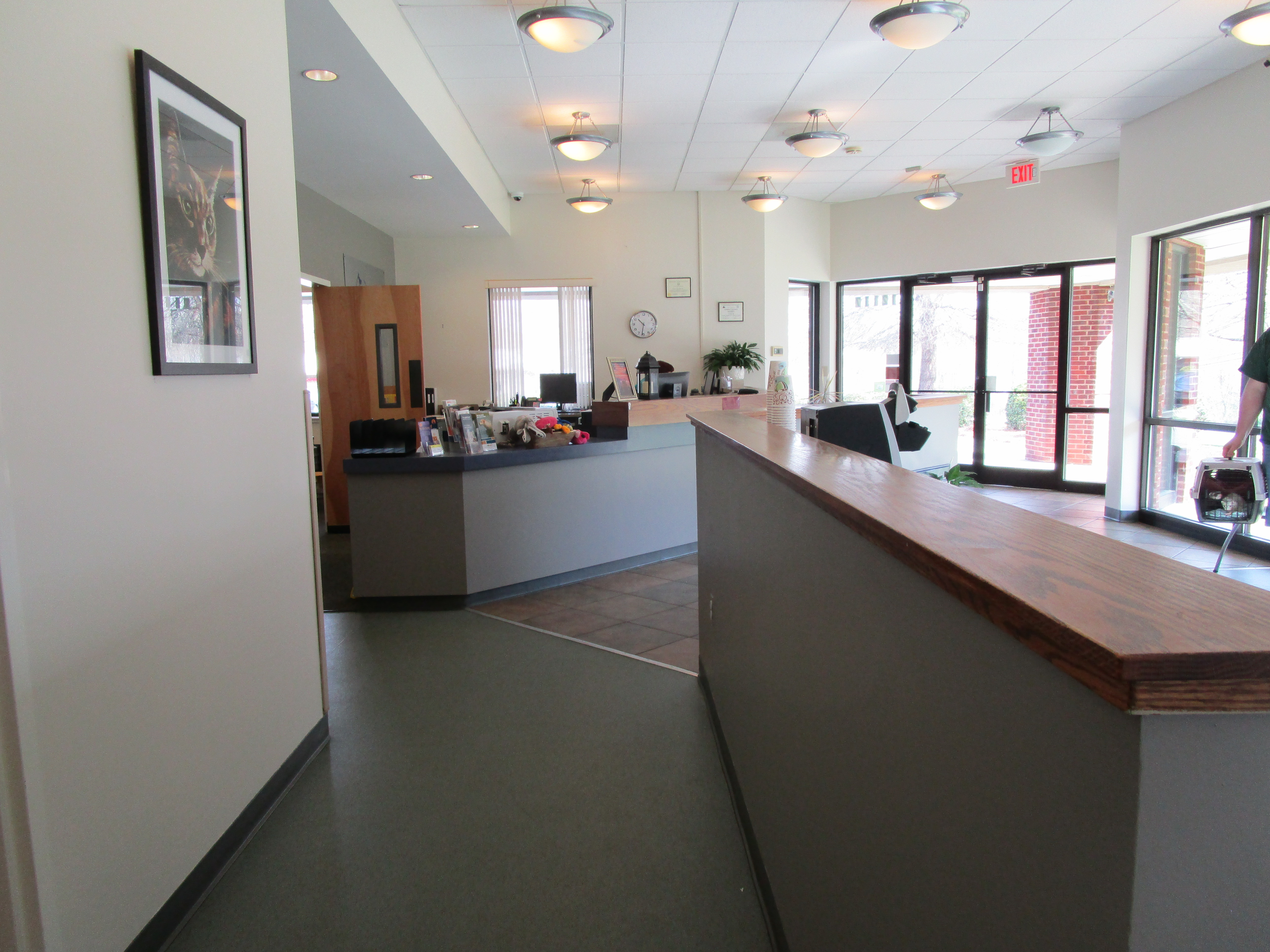 Lobby – Carolina Vet Huntersville After