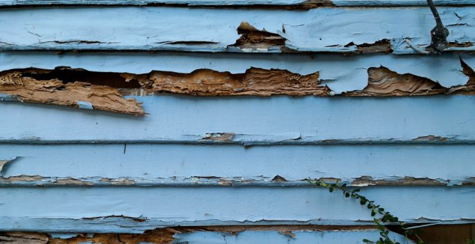Check out our Wood Rot Repair