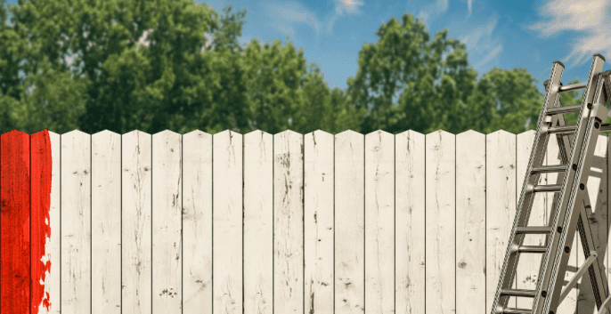 Check out our Fence Painting Services