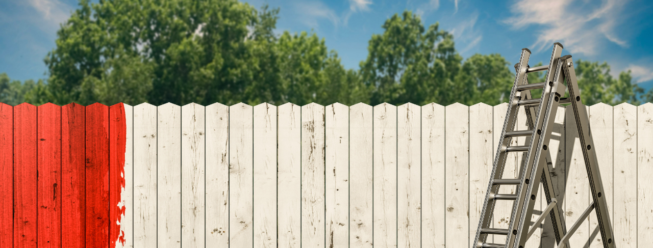 Check out our Fence Painting Services