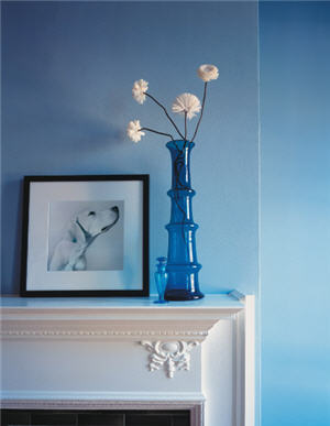 Interior Painting Fort Collins