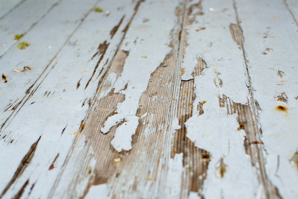 Check out our Wood Rot Repair