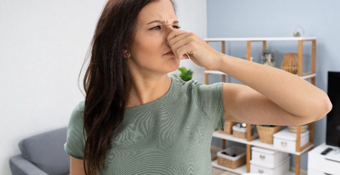 Check out our Brick Painting