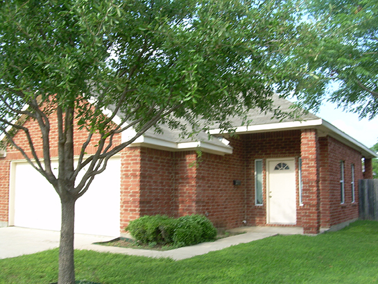 Painting Contractors