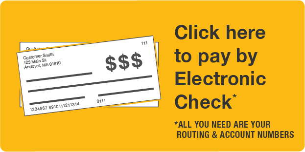 pay by e-check
