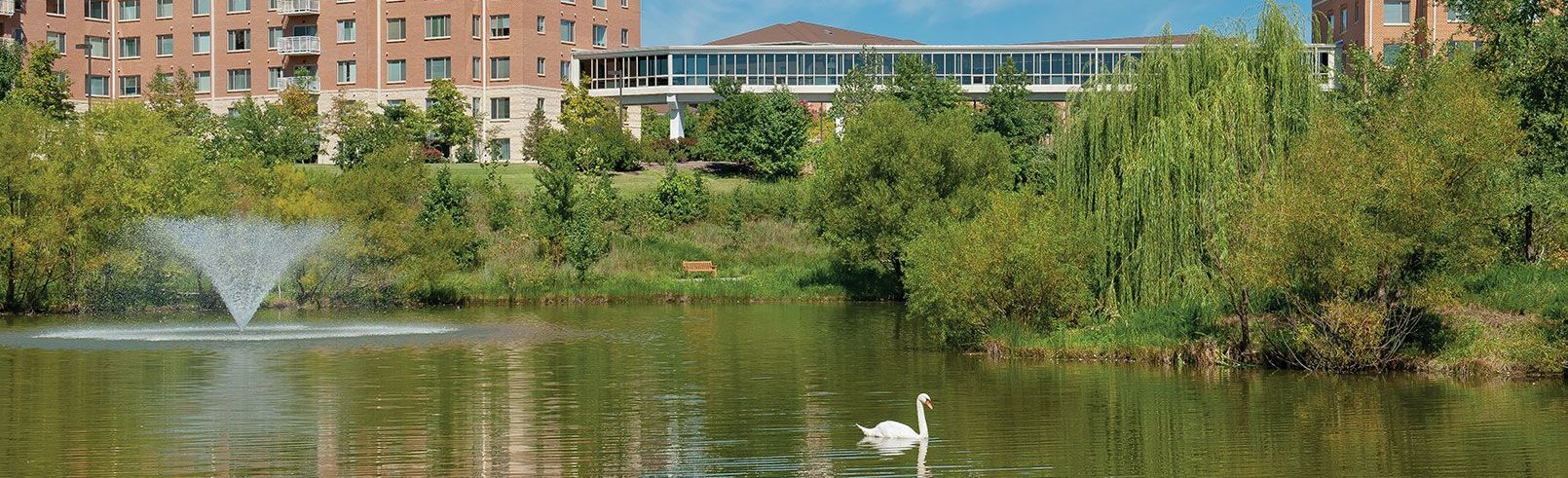 color palette of the year 2025