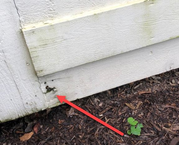rotting exterior wood gate of Pembroke home