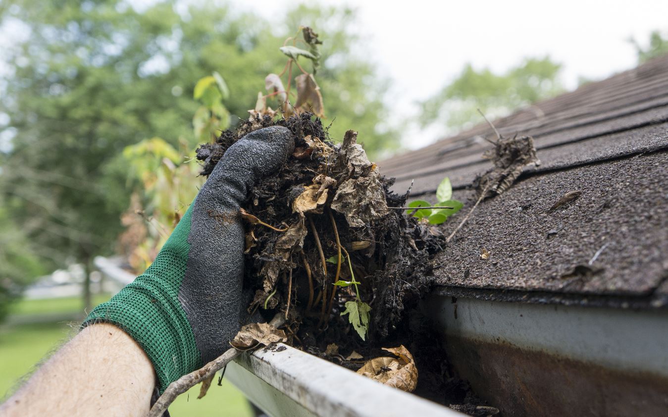 gutter cleaning boston