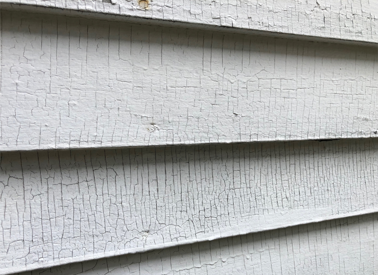 lead paint removal cost