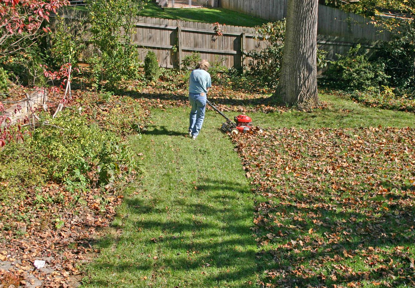 mow lawn in fall in boston