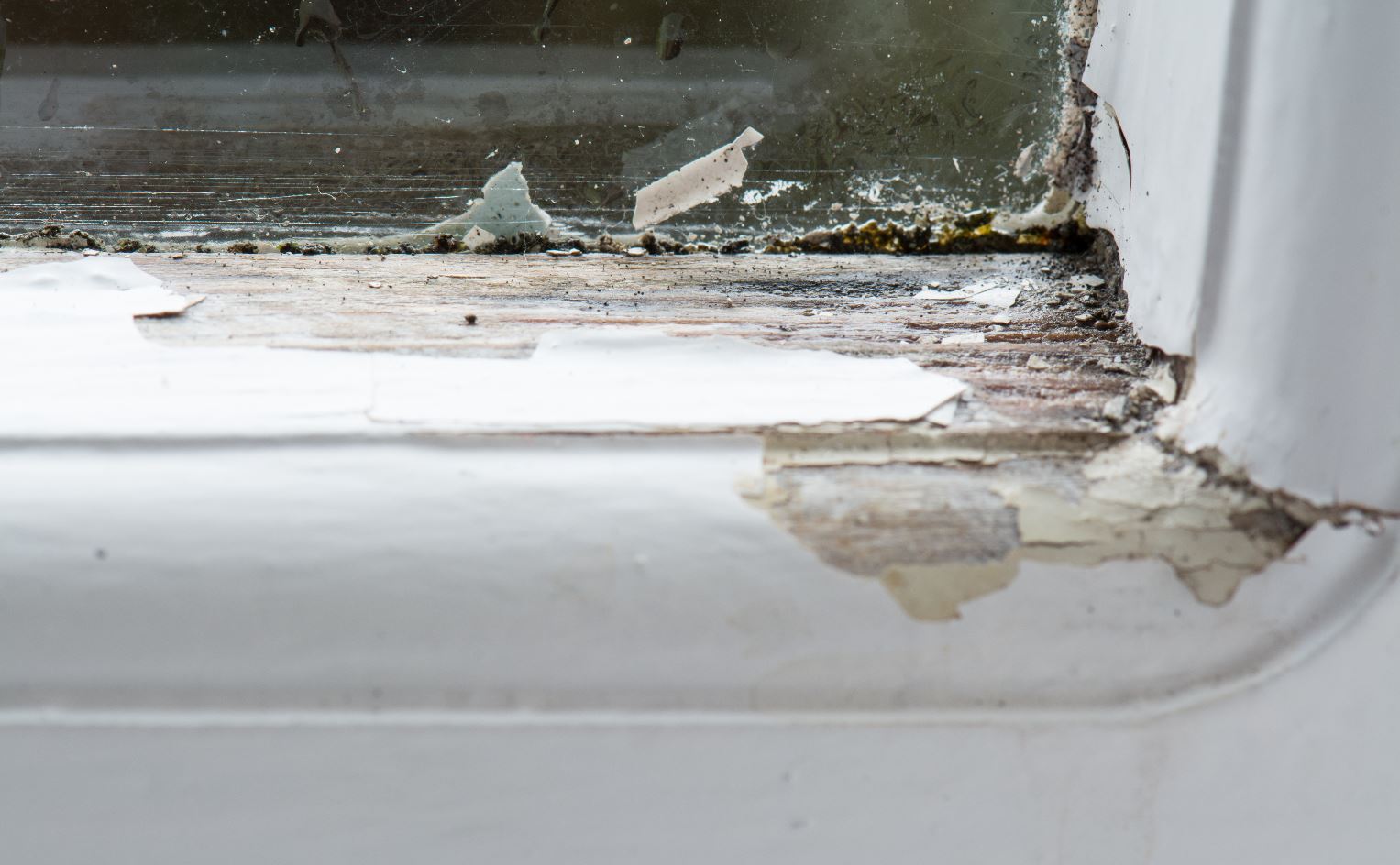 wood rot window boston home